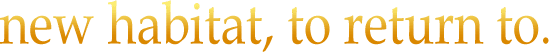 heading-sub-text-2